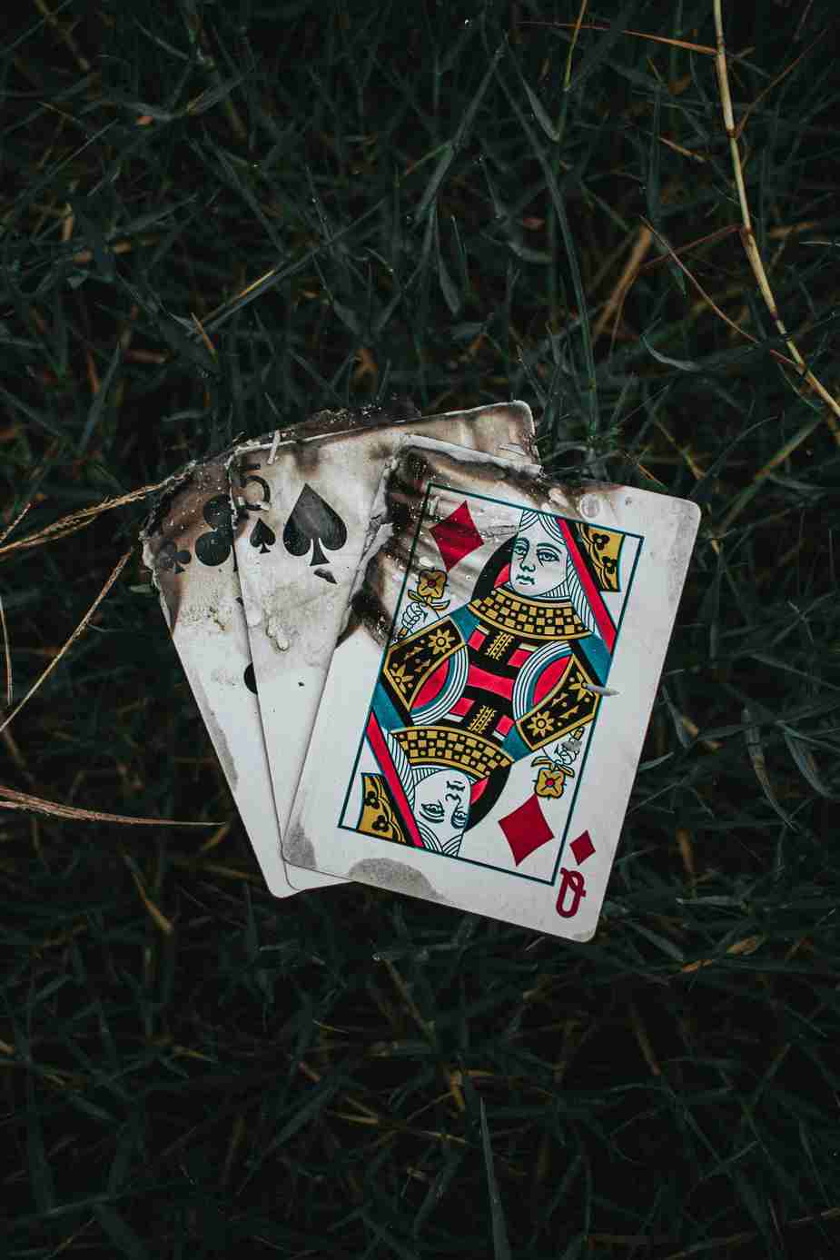candyland casino app candyland casino app